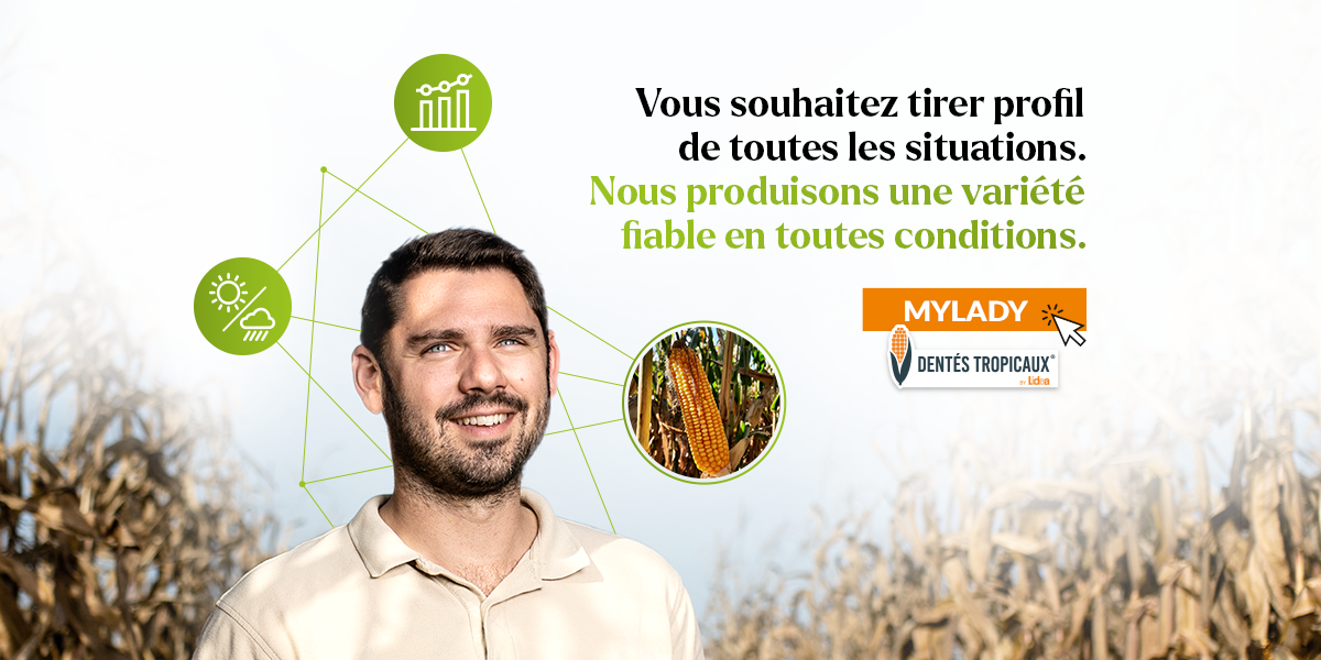 LA RÉFÉRENCE INCONTOURNABLE EN MAÏS GRAIN DEMI-PRÉCOCE