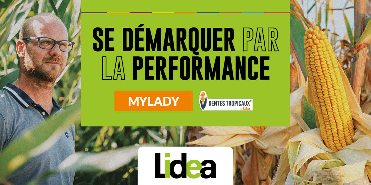 MYLADY, 2ème variété la plus semée en France pour la 2ème année consécutive